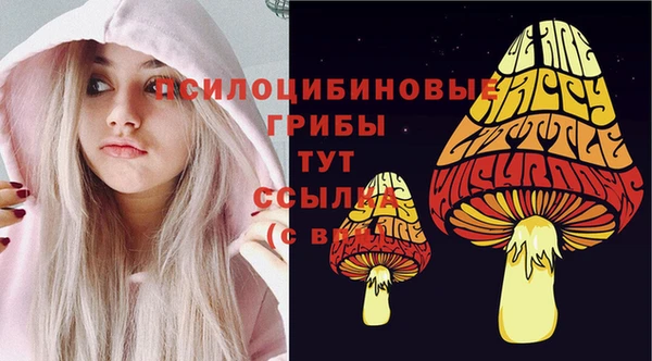 хмурый Покров
