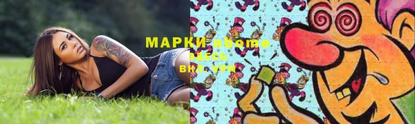 PSILOCYBIN Покачи