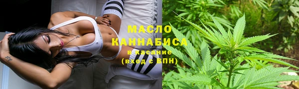 PSILOCYBIN Покачи