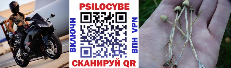 Галлюциногенные грибы ЛСД  Купить где  Туринск 